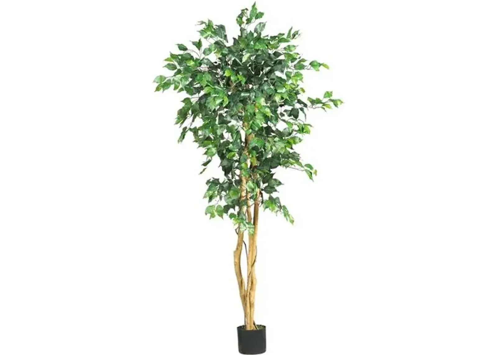 60" Ficus Tree - Green