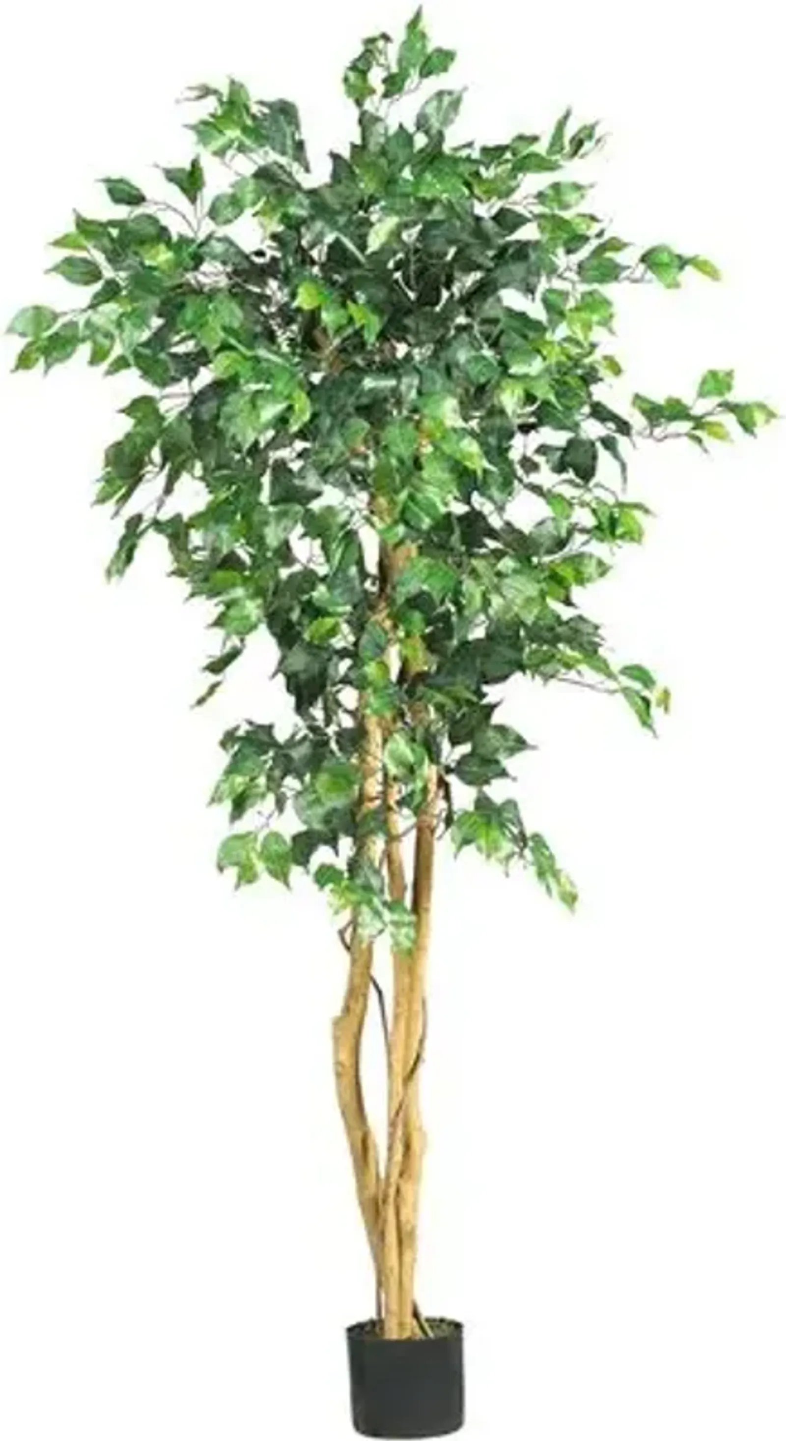 60" Ficus Tree - Green