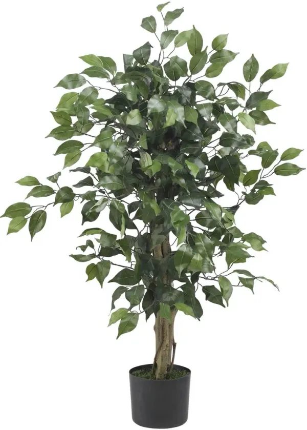 36" Ficus Silk Tree