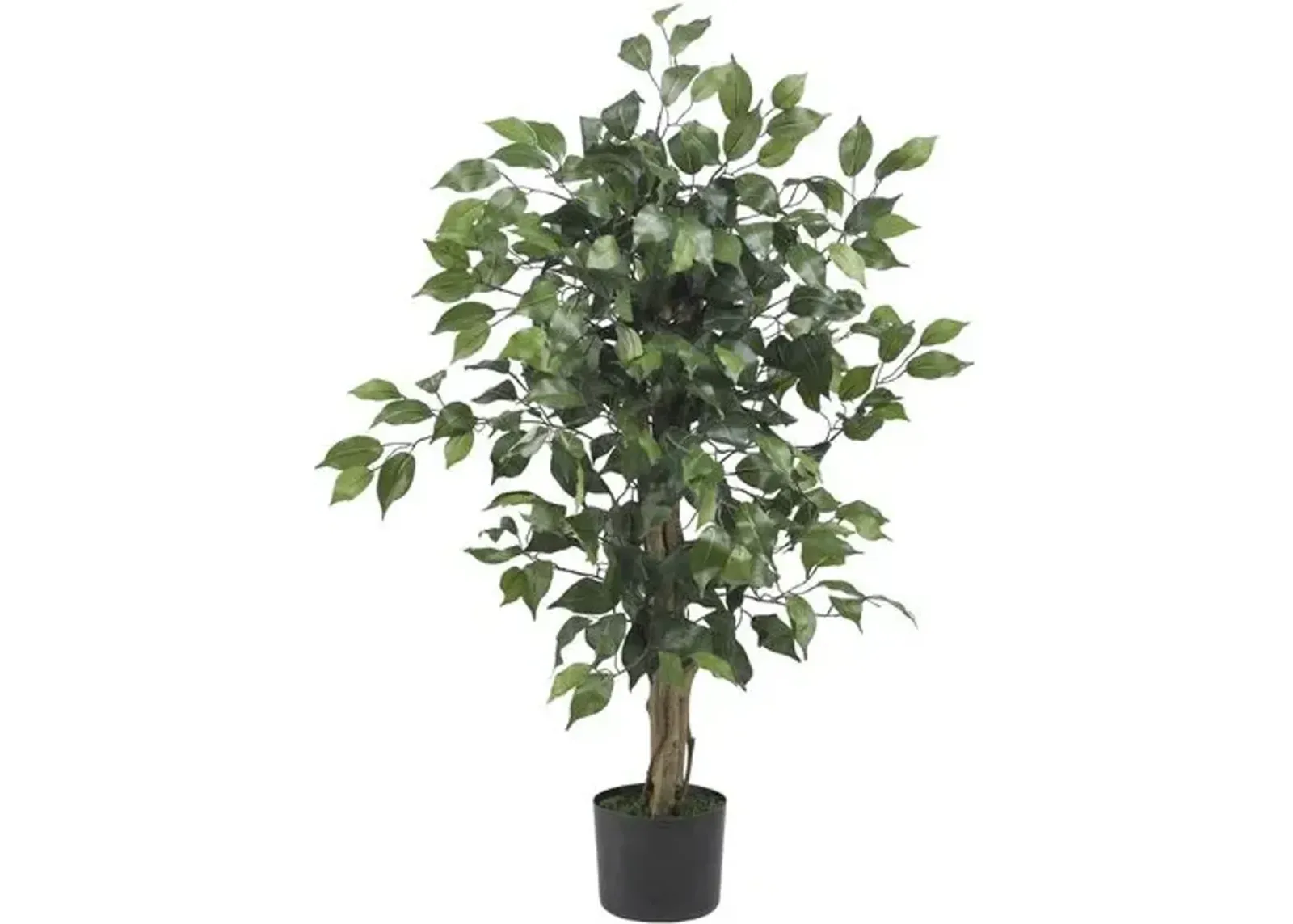 36" Ficus Silk Tree - Green