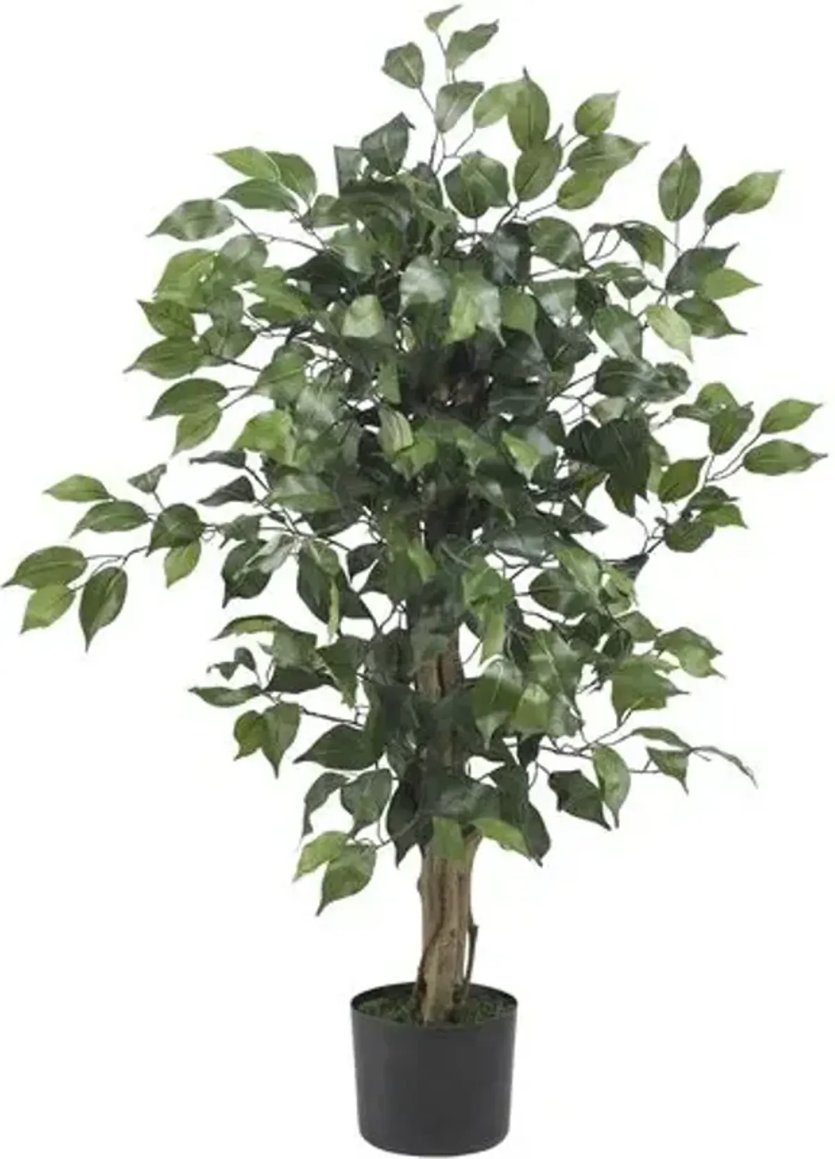 36" Ficus Silk Tree - Green