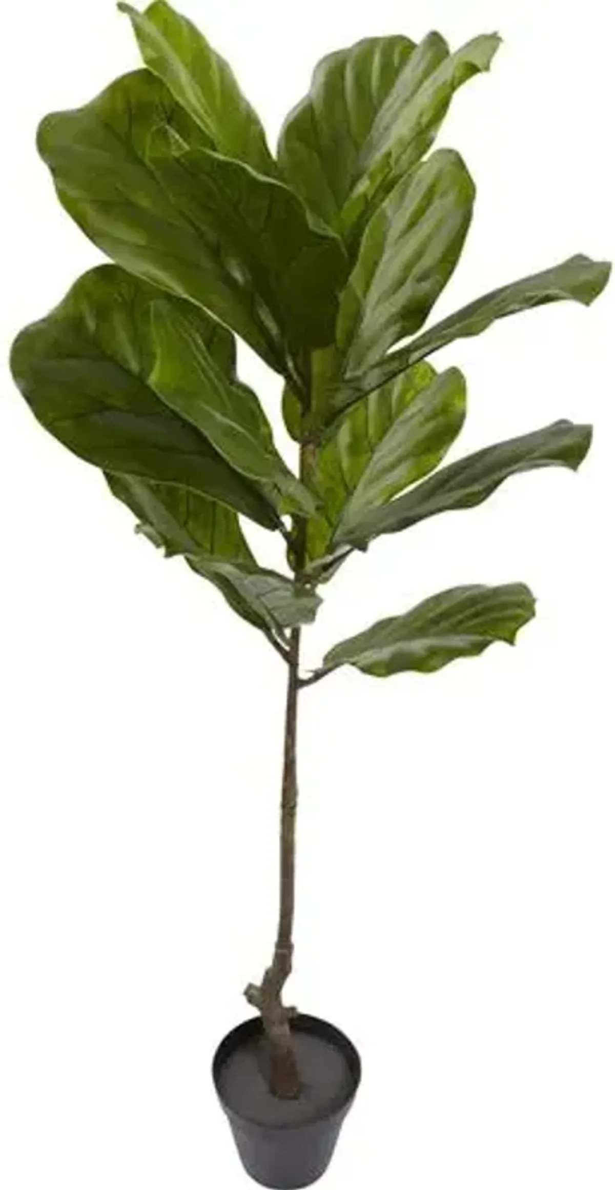 48" Faux Fiddle Leaf Tree - Green