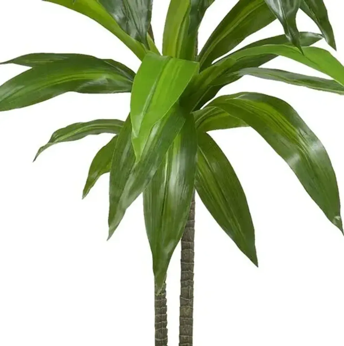 43" Faux Dracaena Tree - Green