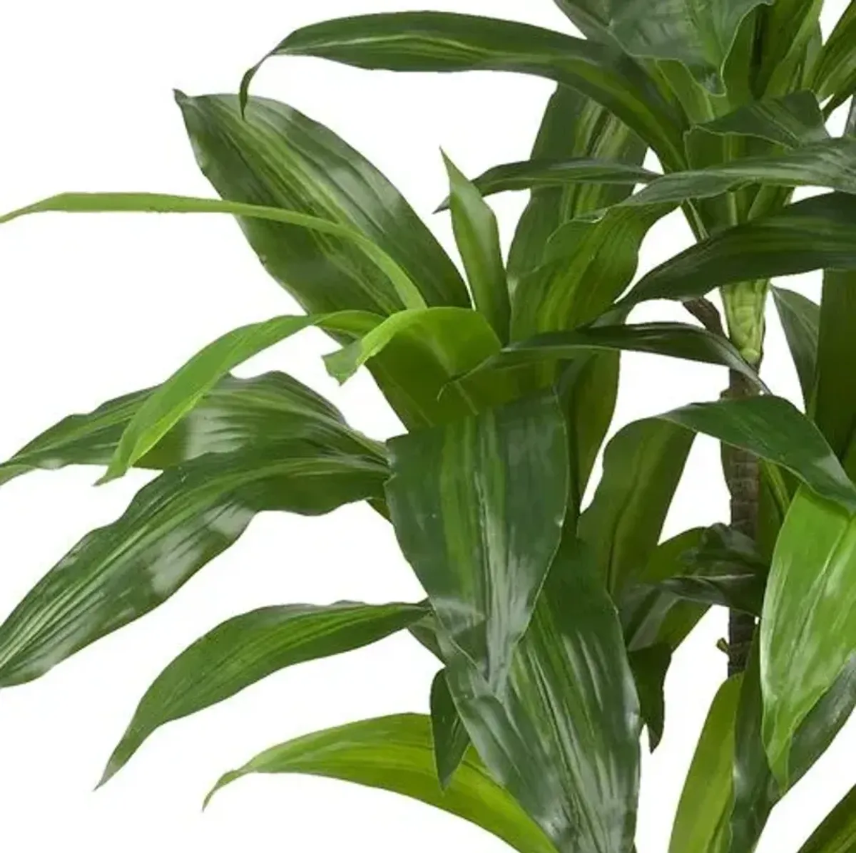 43" Faux Dracaena Tree - Green