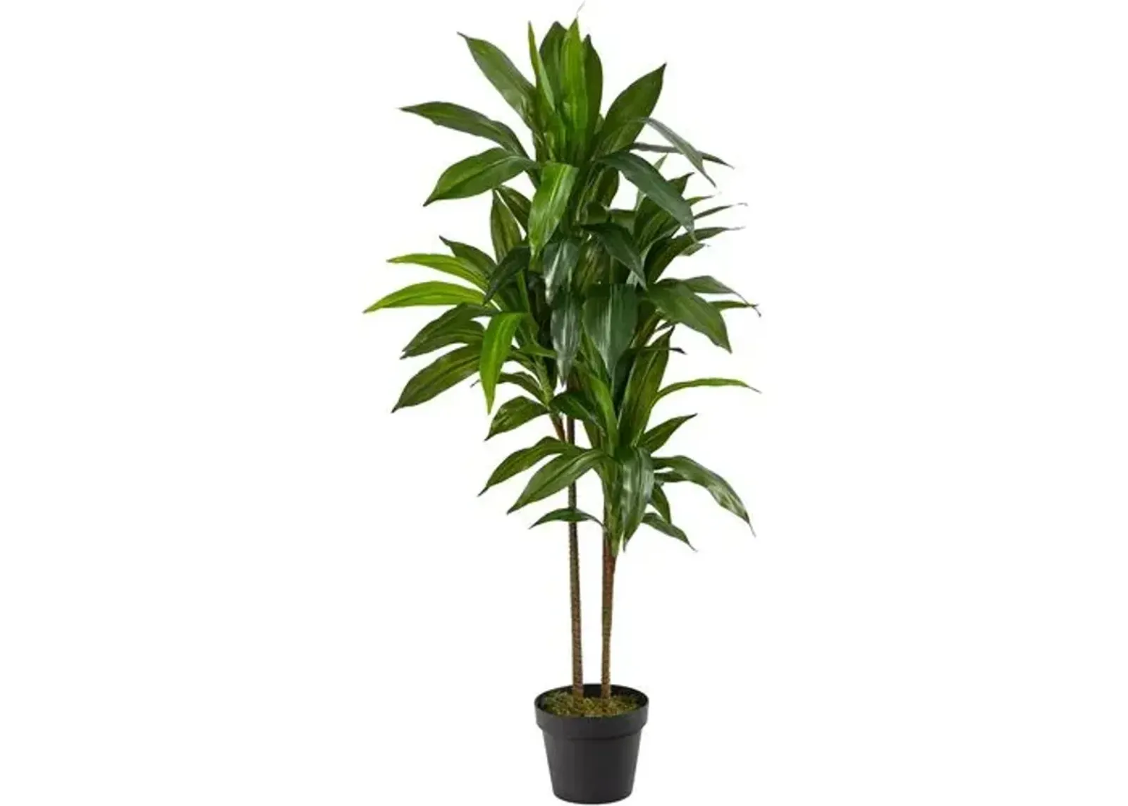 43" Faux Dracaena Tree - Green