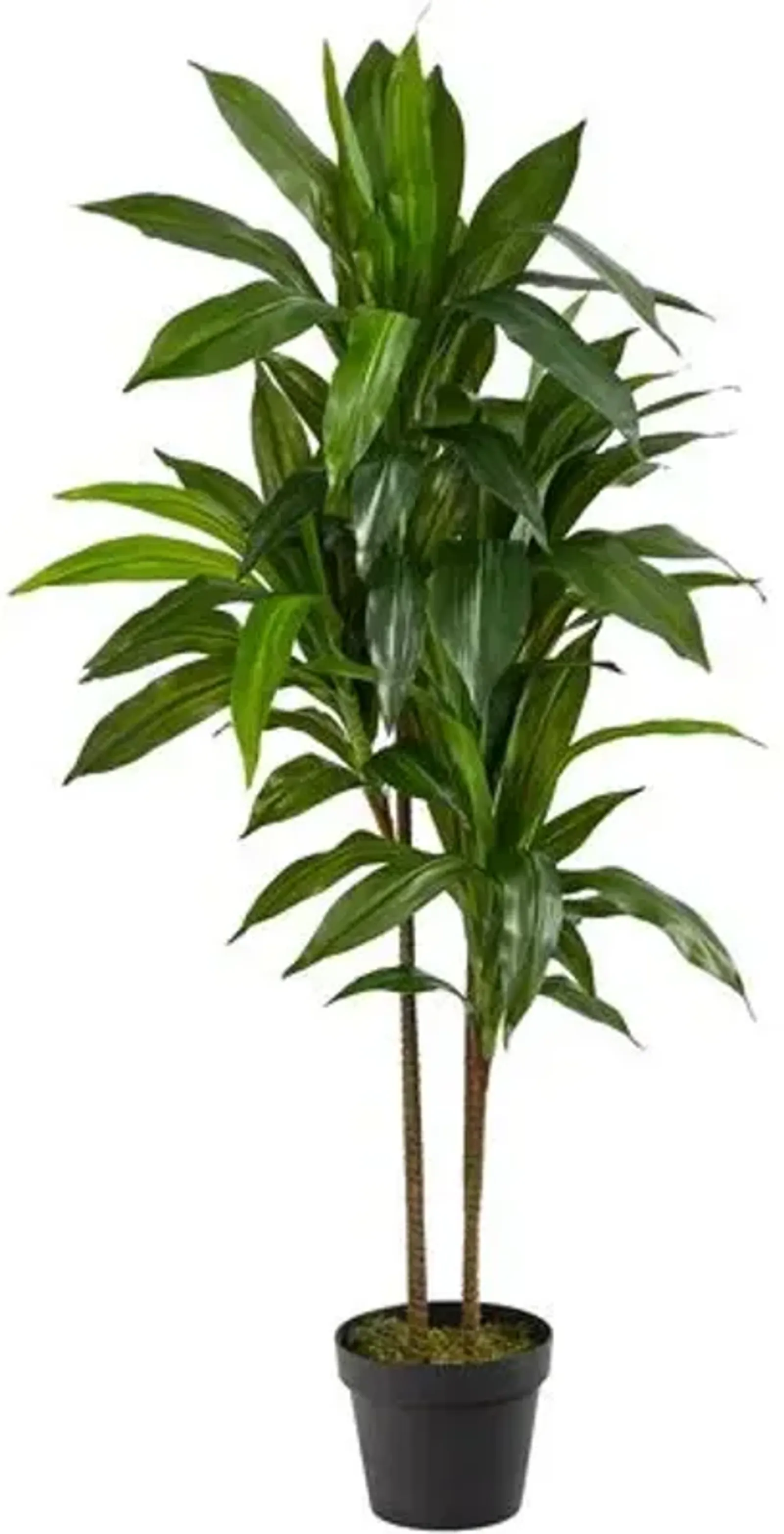 43" Faux Dracaena Tree - Green