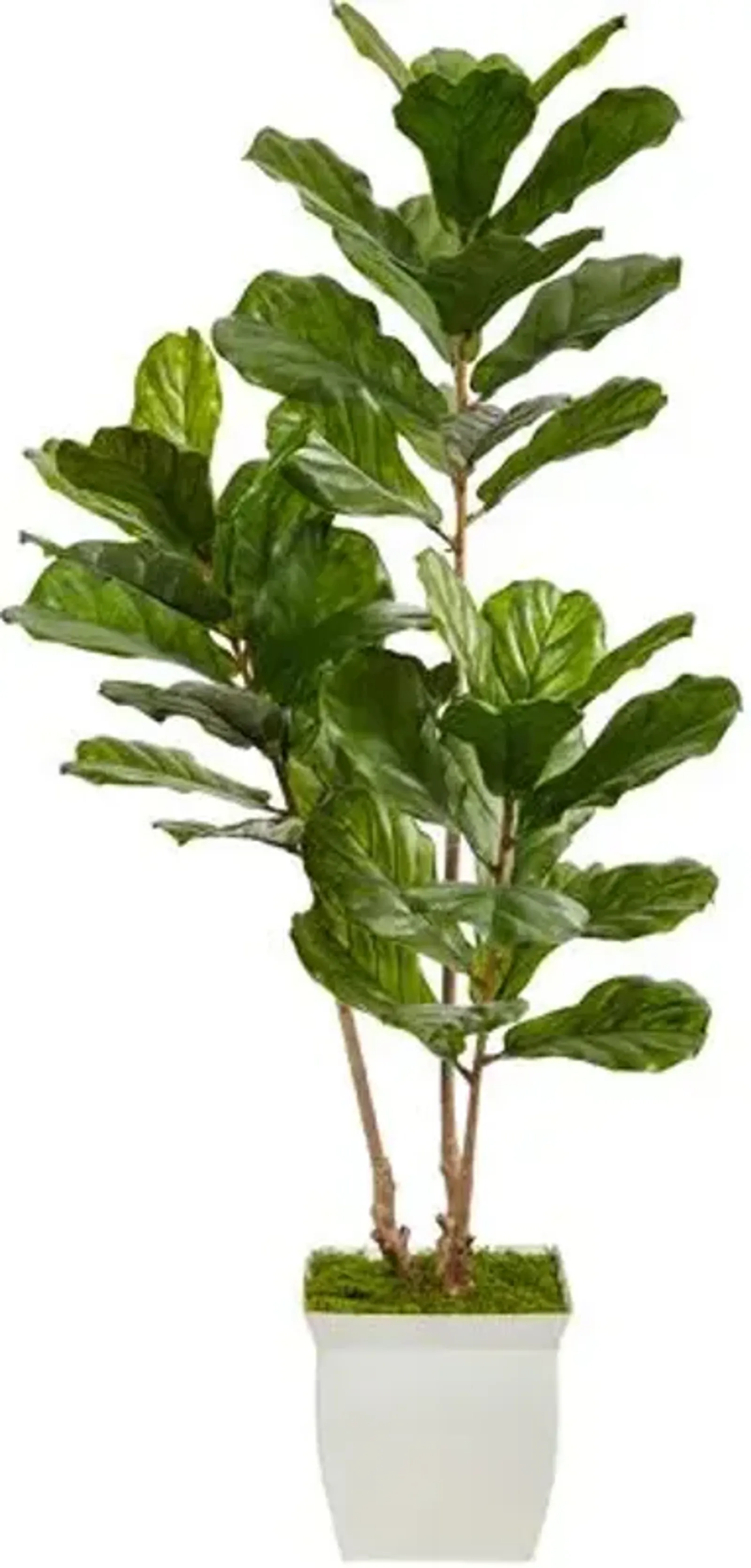 66" Faux Fiddle Leaf Tree - Green