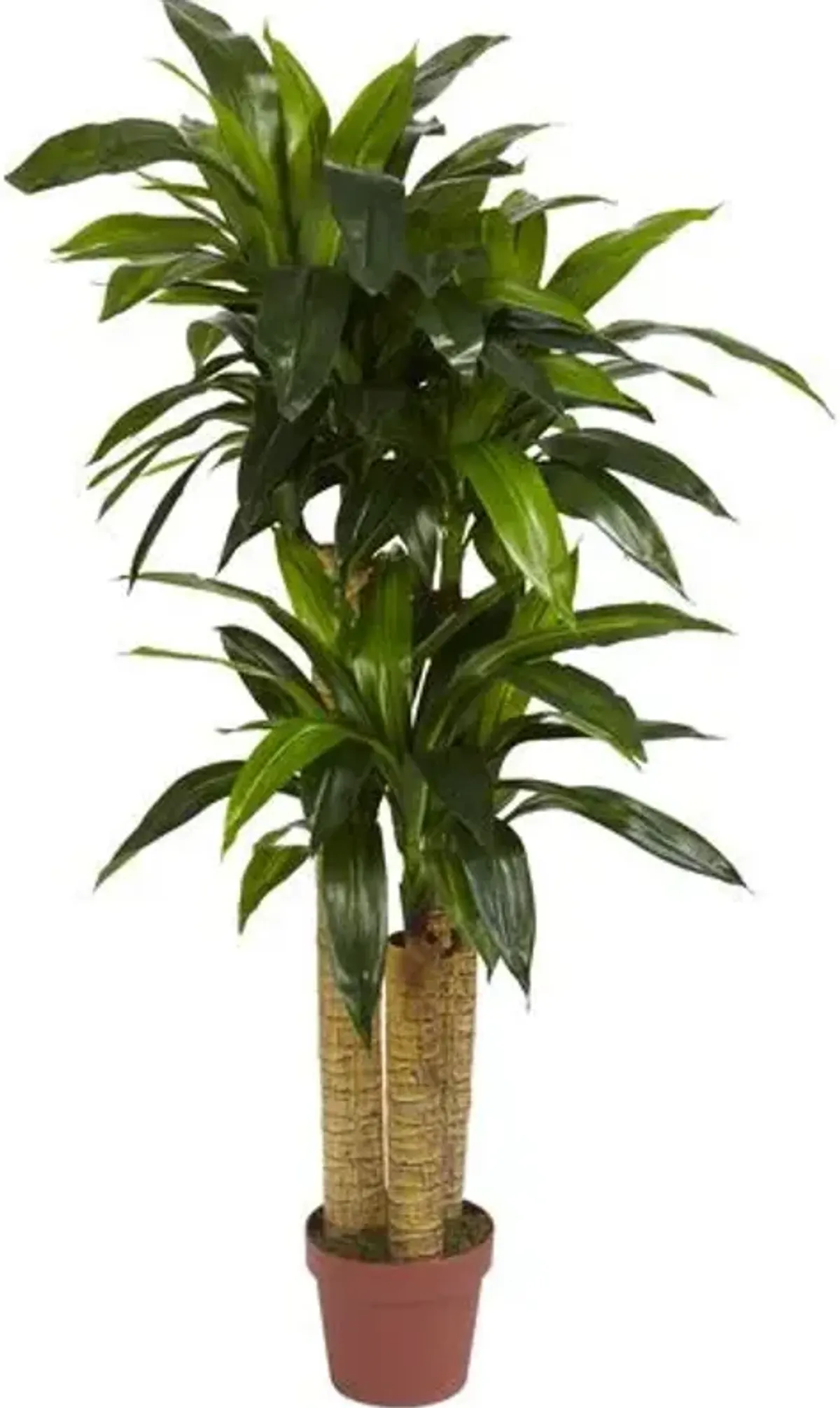 48" Faux Dracaena Tree - Green