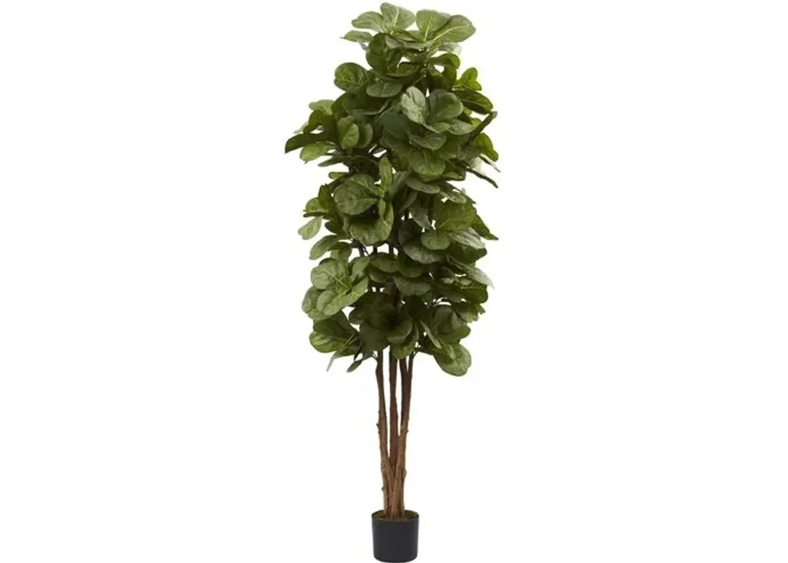 72" Fiddle Leaf Fig Tree - Green