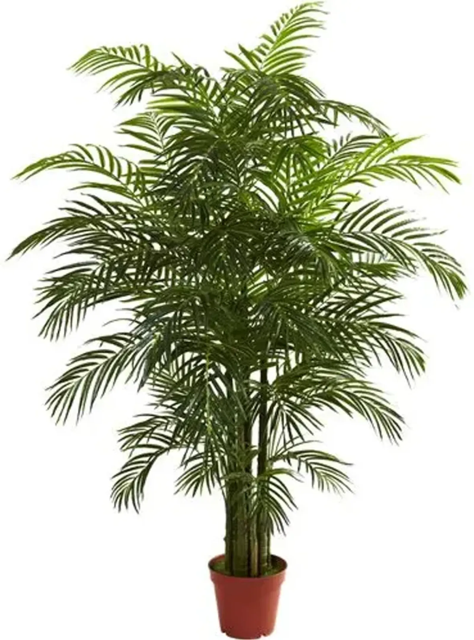 78" Faux Palm Tree - Green