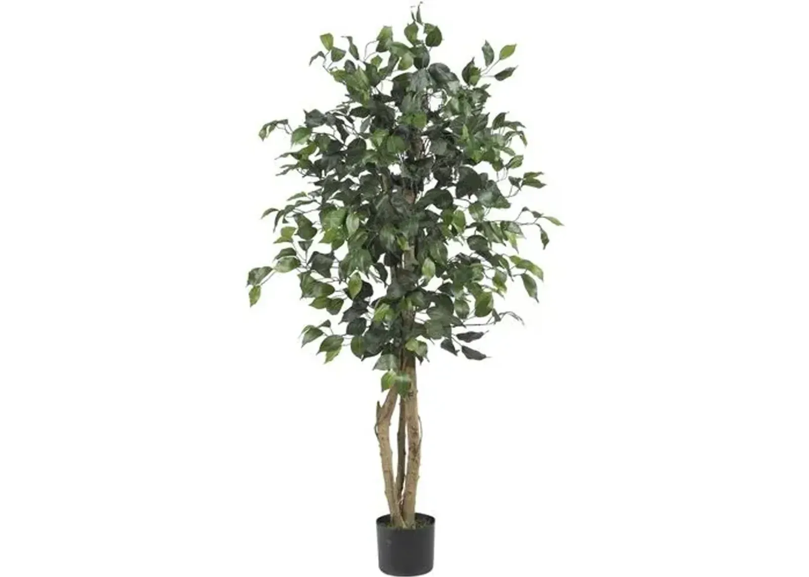 48" Ficus Silk Tree - Green