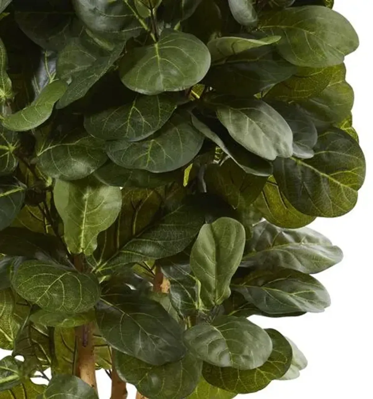 60" Faux Fiddle Leaf Tree - Green