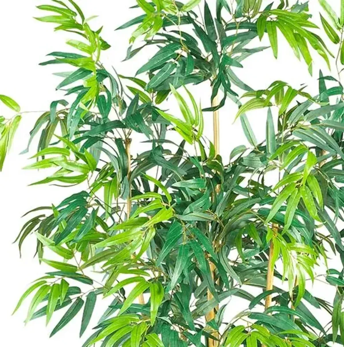 72" Bambusa Bamboo Silk Tree - Green