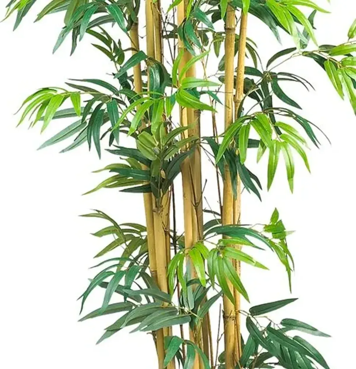 72" Bambusa Bamboo Silk Tree - Green