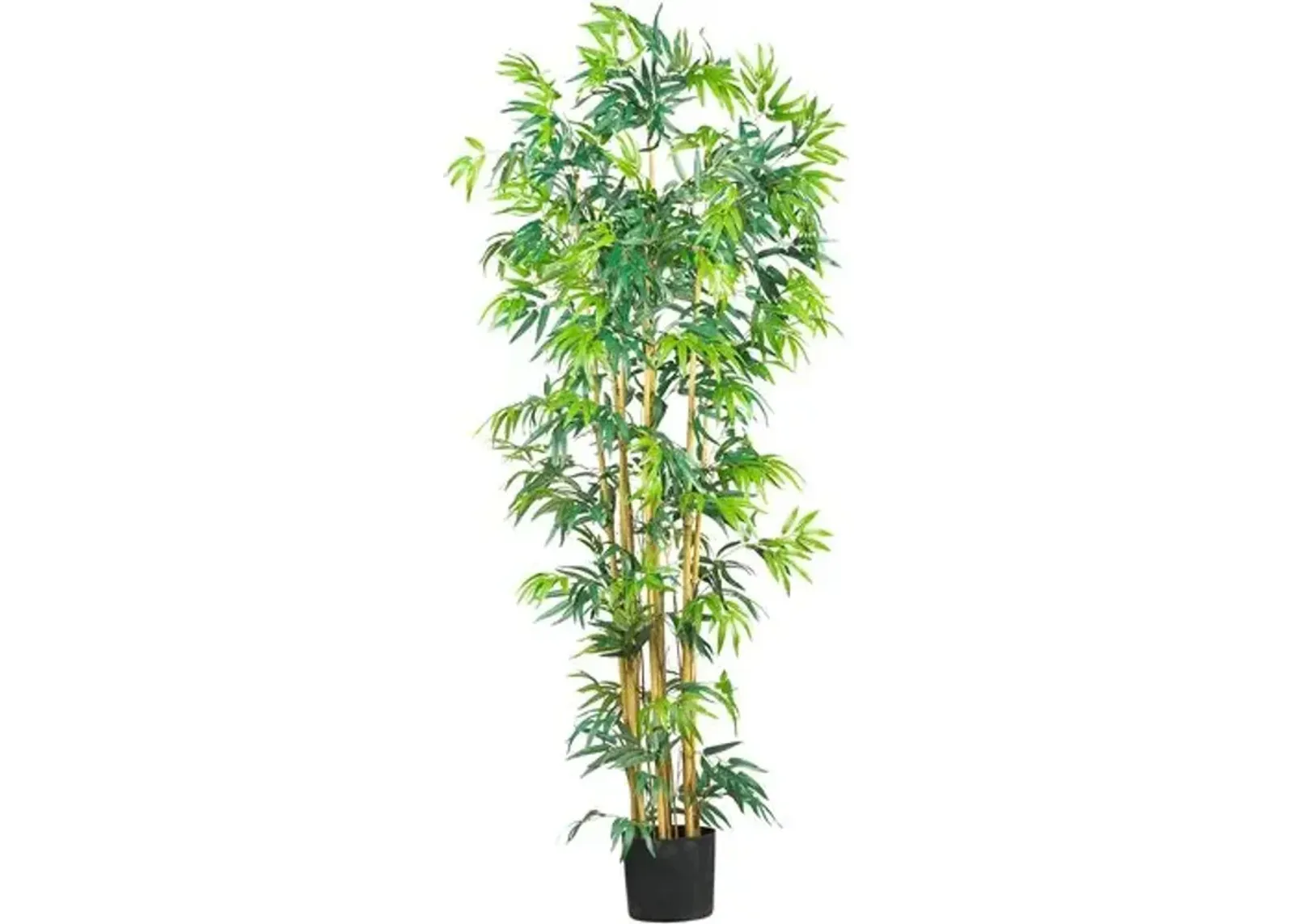 72" Bambusa Bamboo Silk Tree - Green