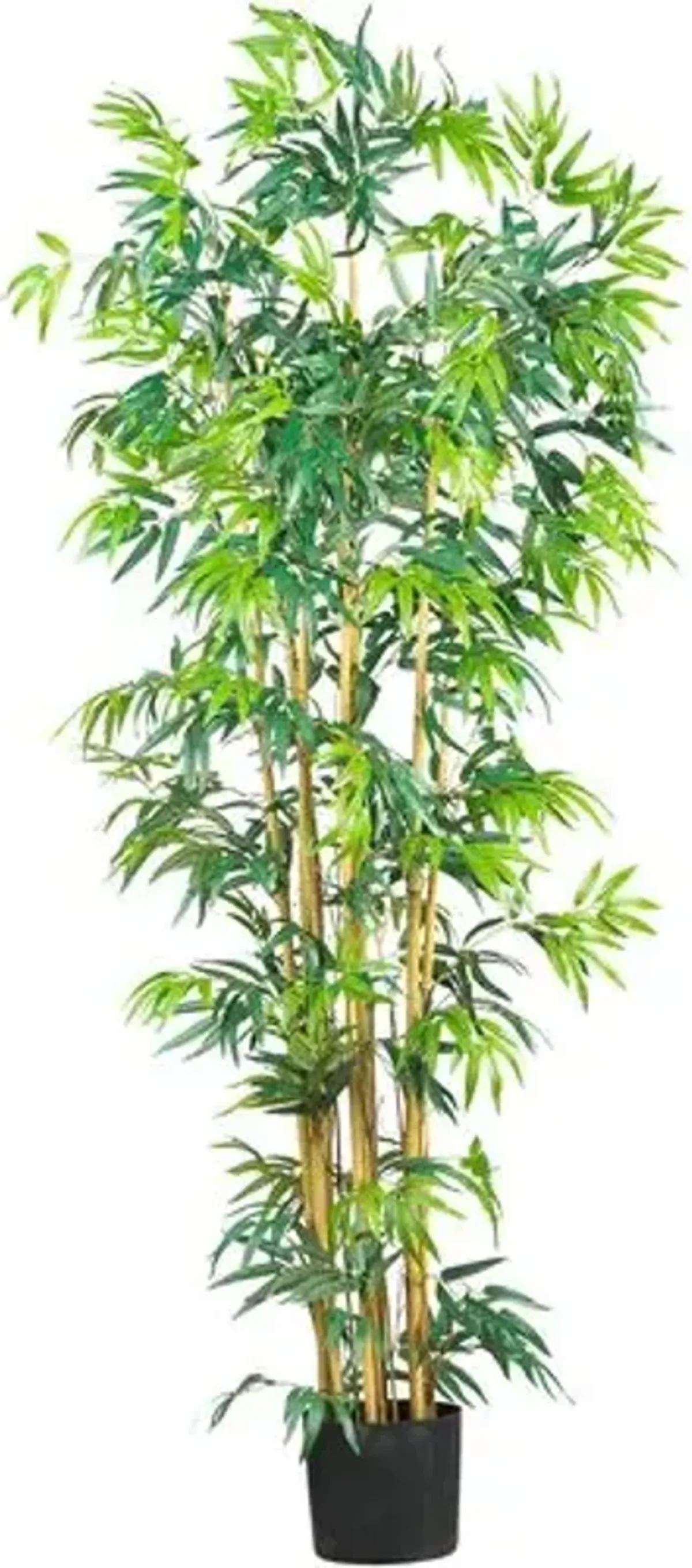 72" Bambusa Bamboo Silk Tree - Green