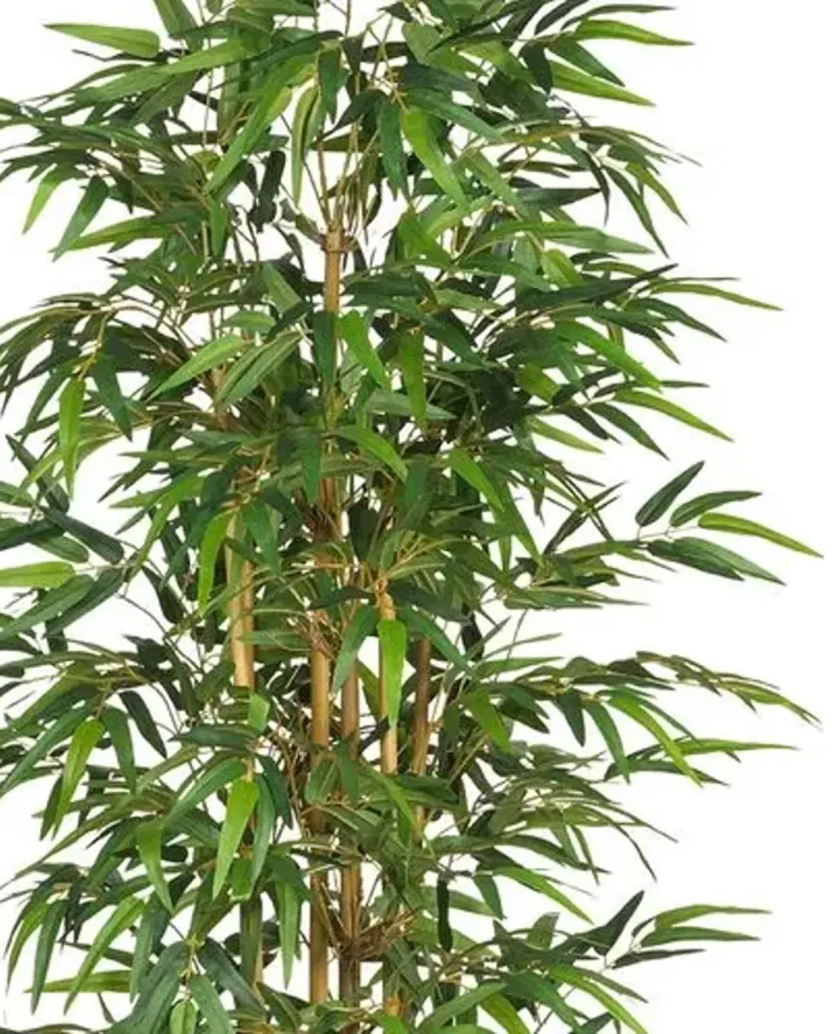 75in" Bamboo Silk Tree - Green