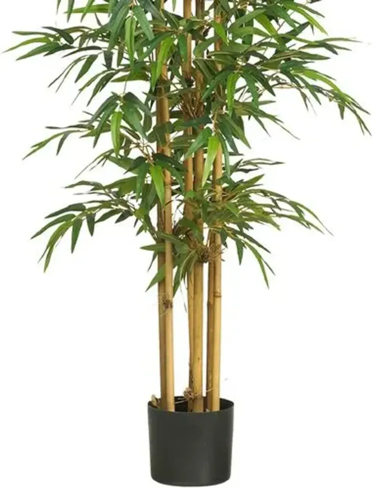 75in" Bamboo Silk Tree - Green