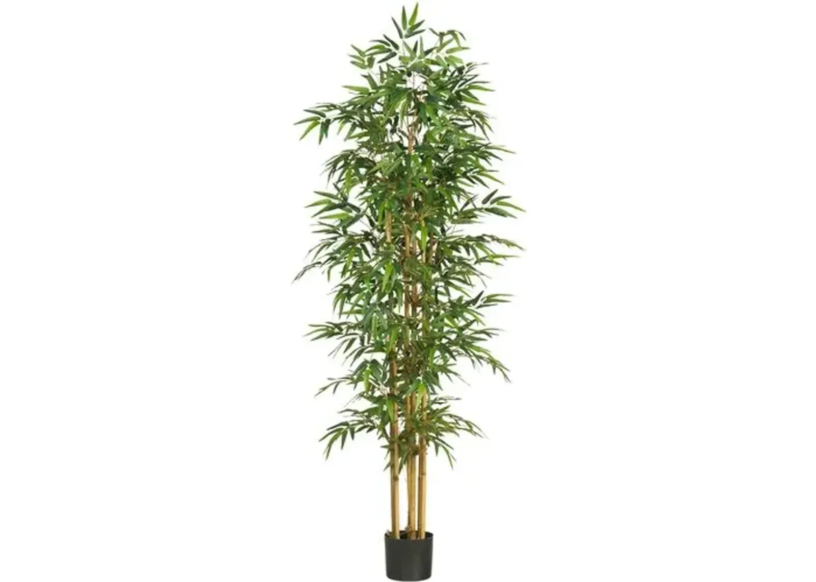 75in" Bamboo Silk Tree - Green