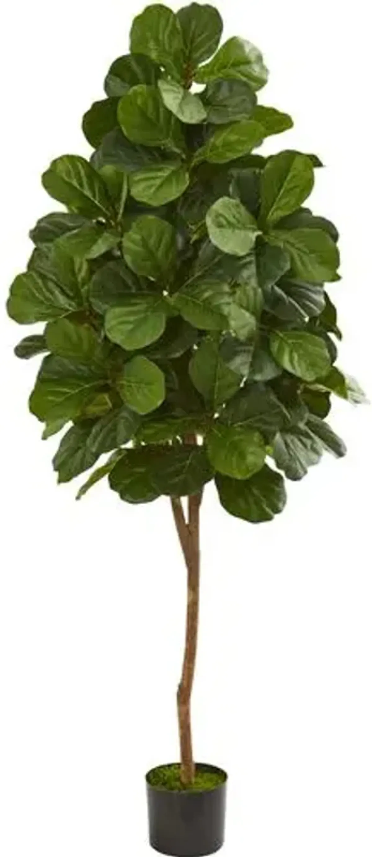 72" Faux Fiddle Leaf Tree - Green