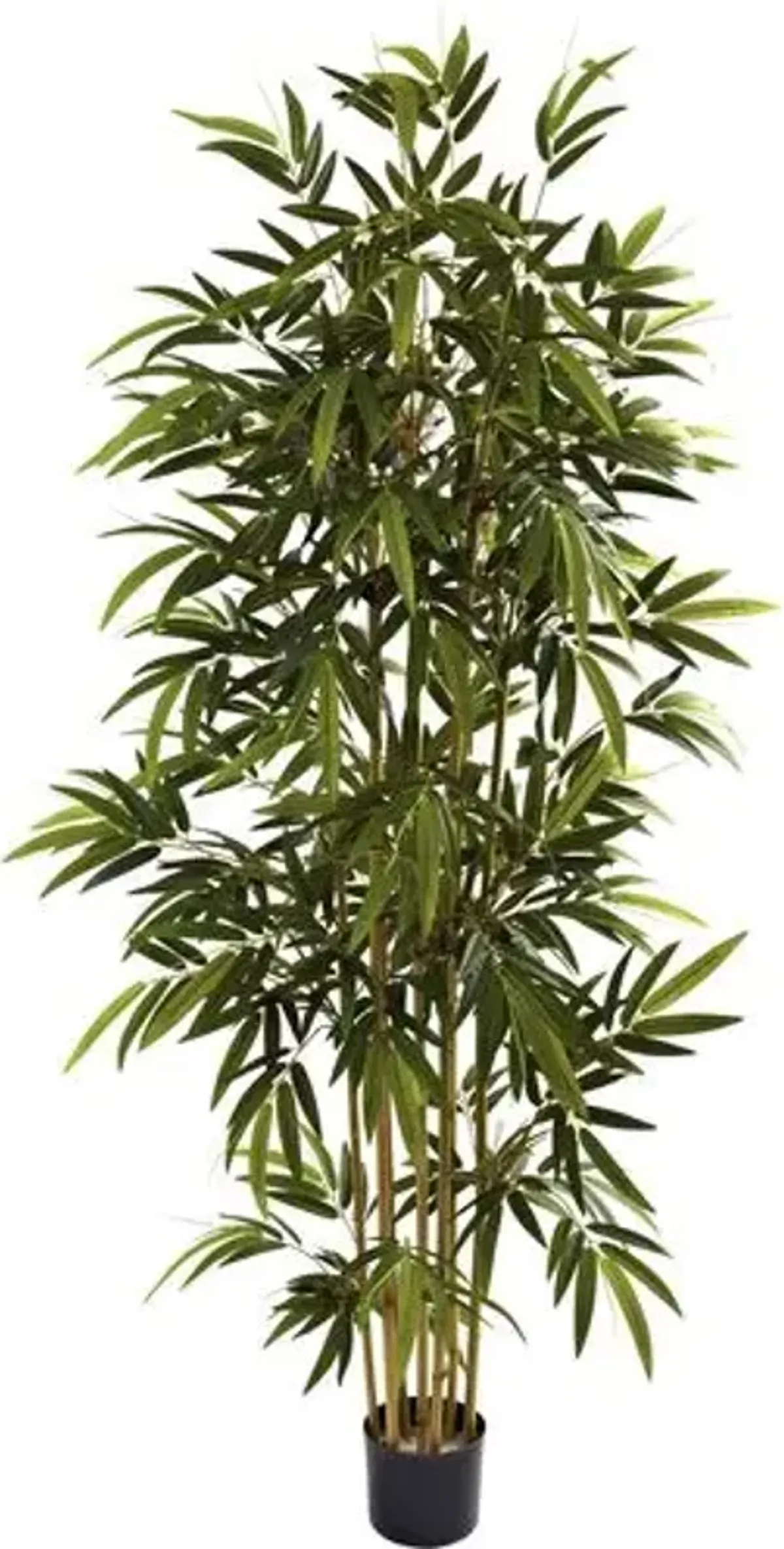 72" Bamboo Tree - Green