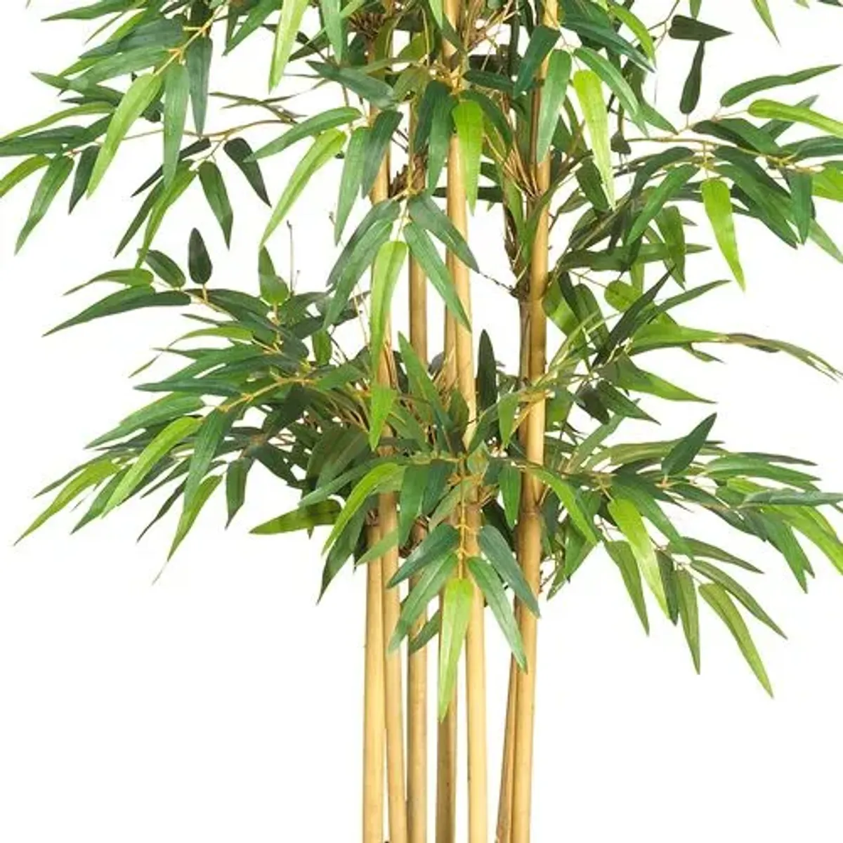 64" Bamboo Silk Tree - Green