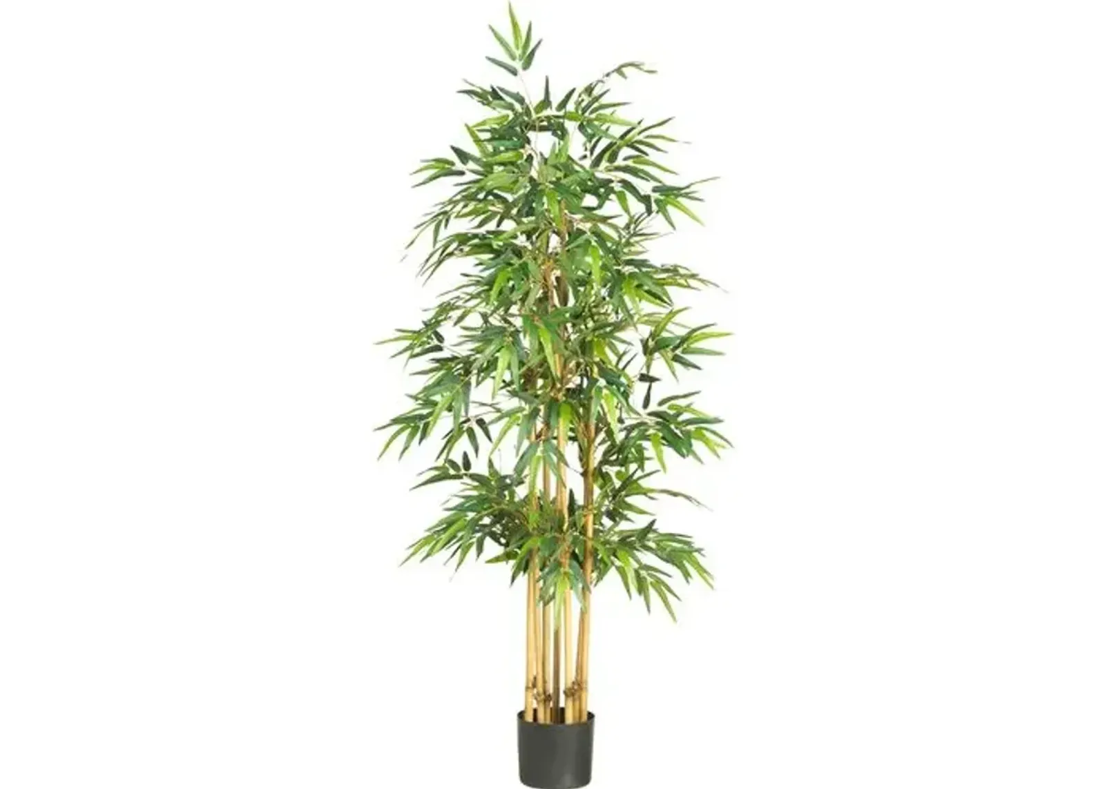 64" Bamboo Silk Tree - Green