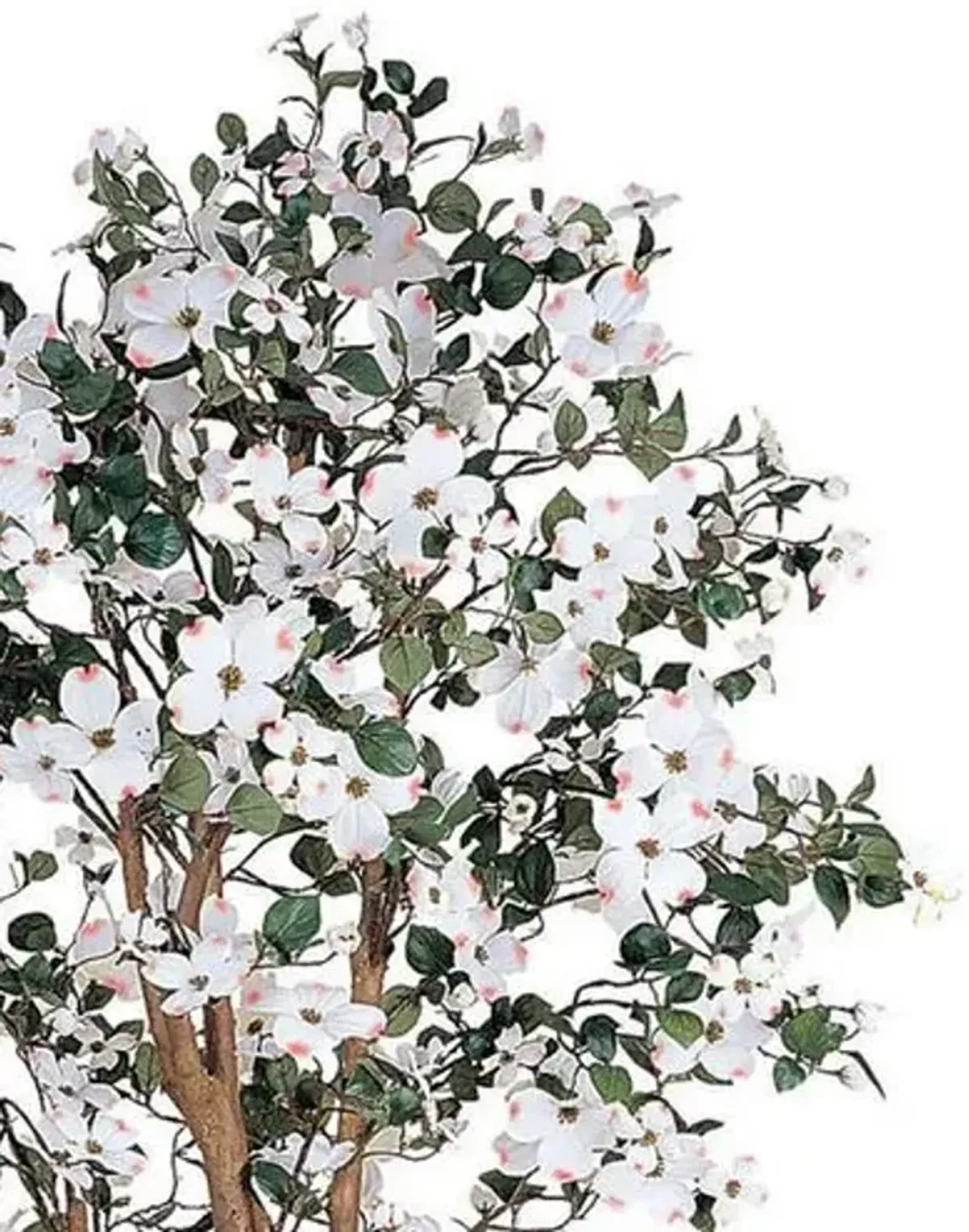 60" Dogwood Silk Tree - White