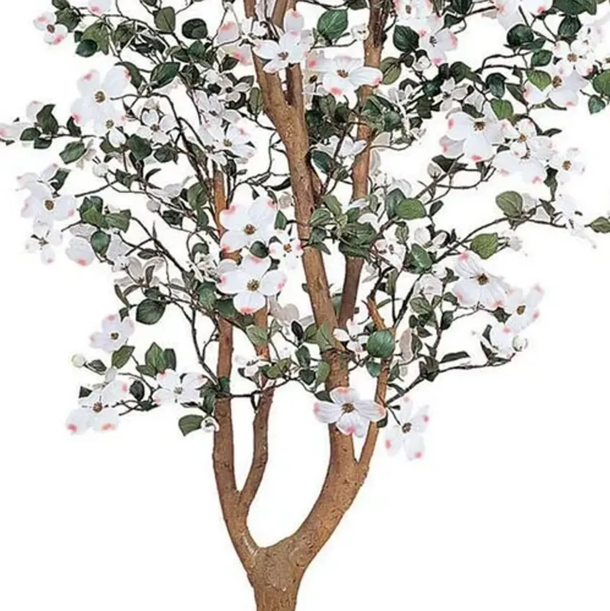 60" Dogwood Silk Tree - White