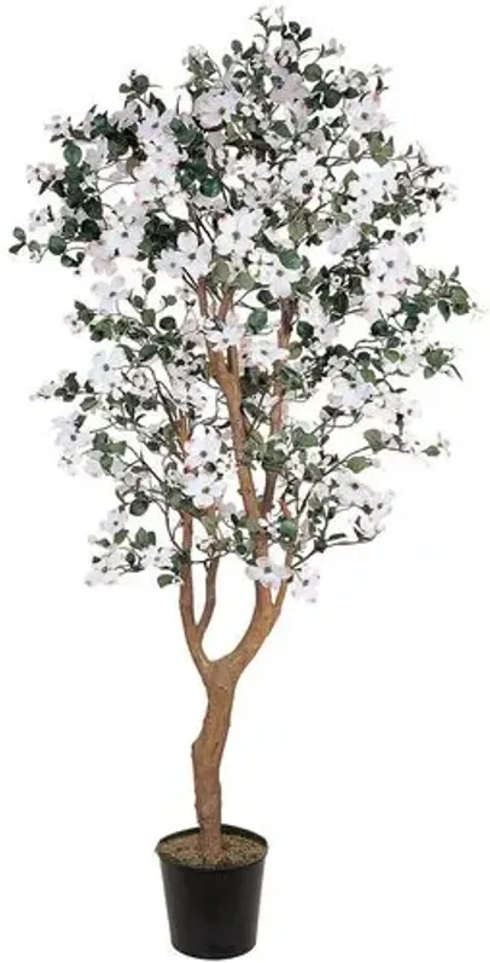 60" Dogwood Silk Tree - White