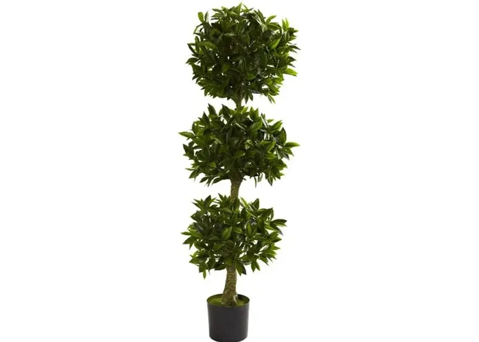 60" Faux Bay Leaf Tree - Green