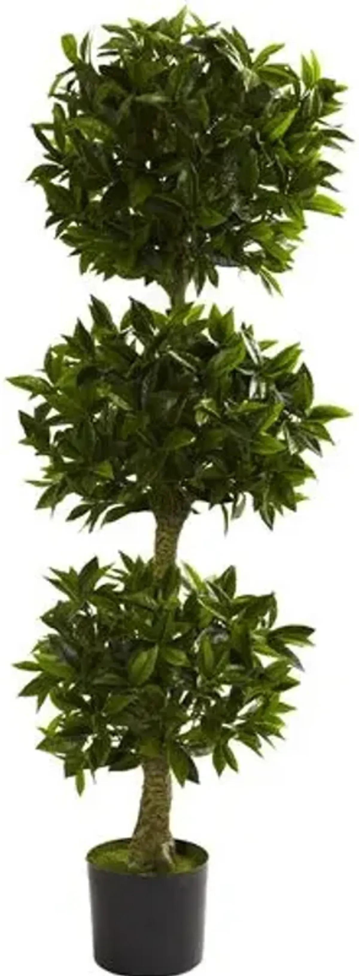 60" Faux Bay Leaf Tree - Green