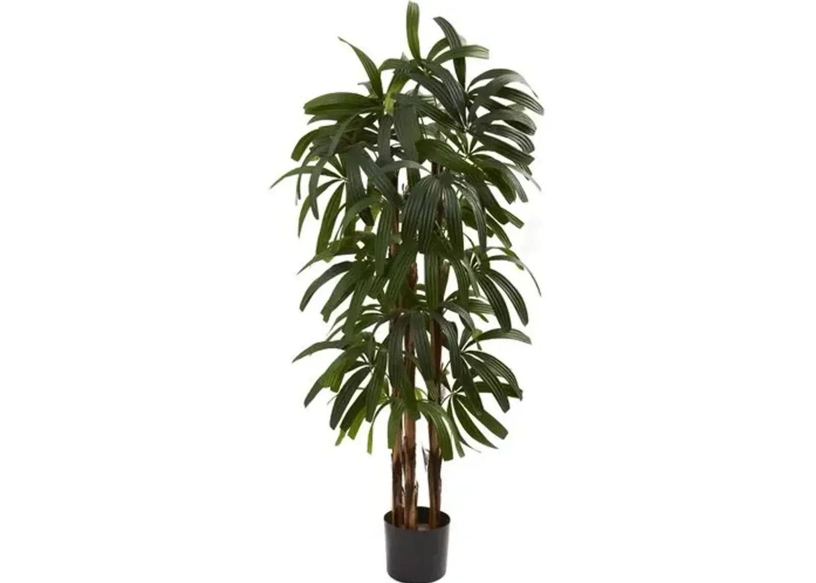 48" Raphis Palm Tree - Green