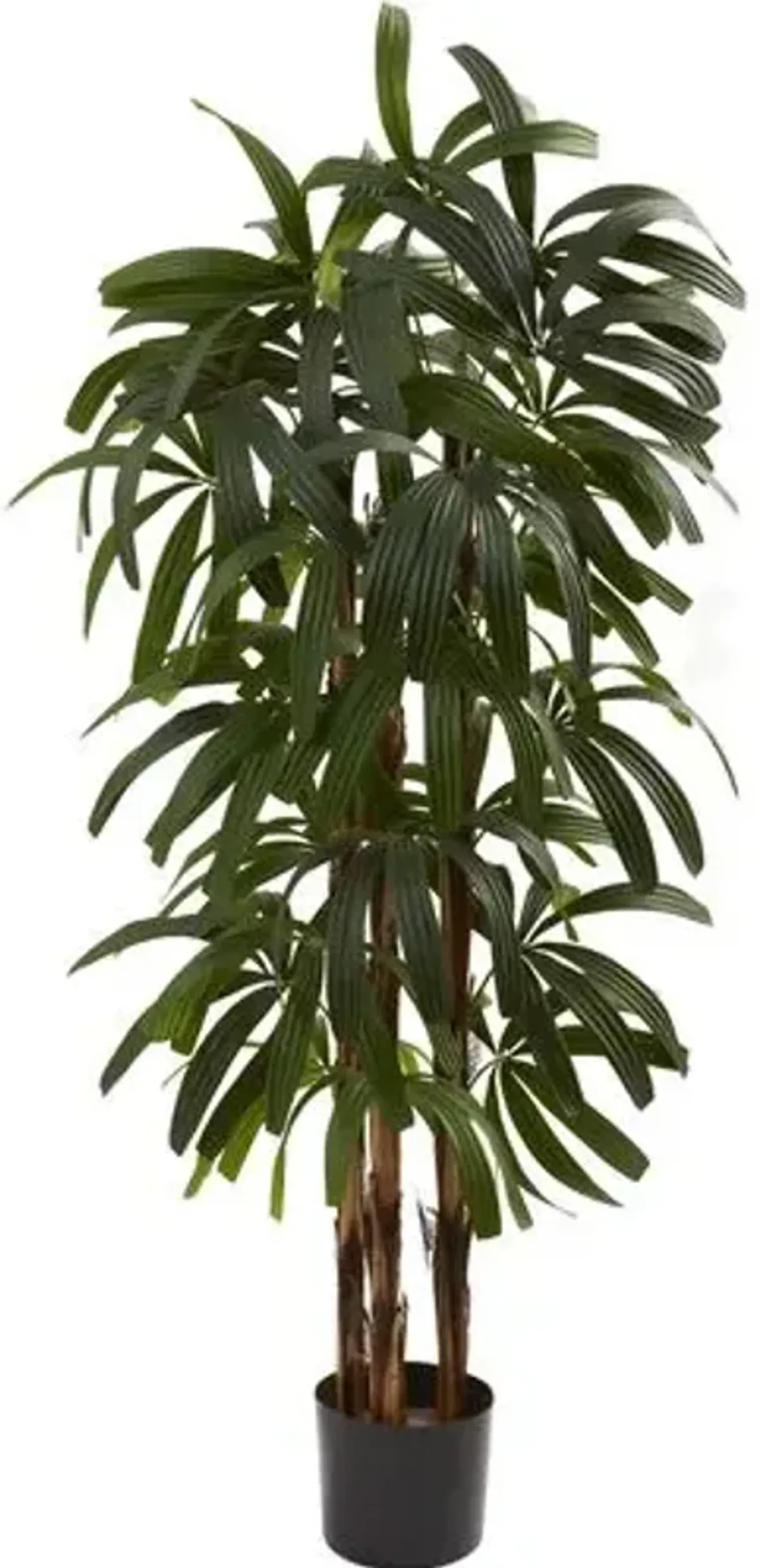 48" Raphis Palm Tree - Green