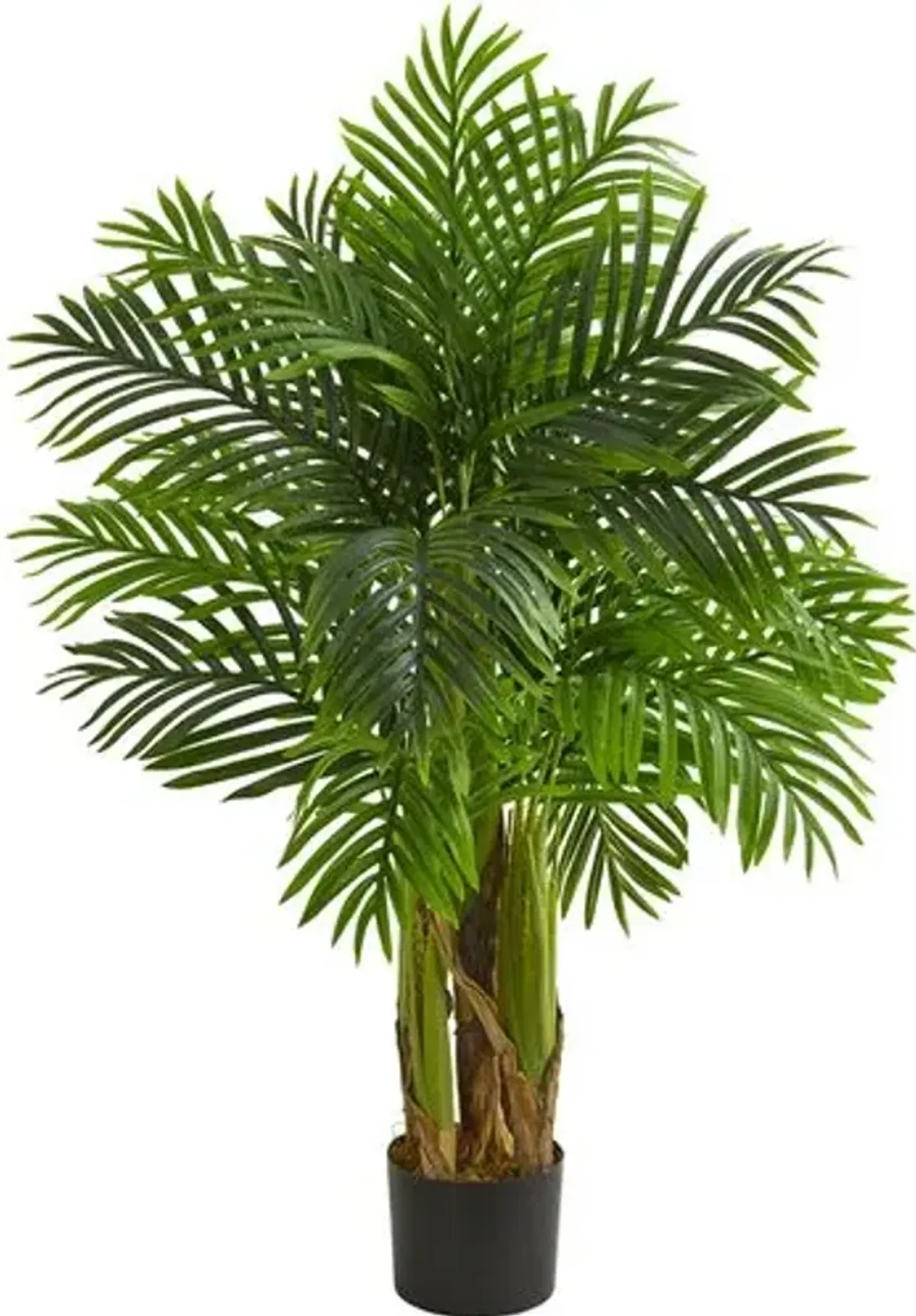 Kentia Palm Artificial Tree - Green