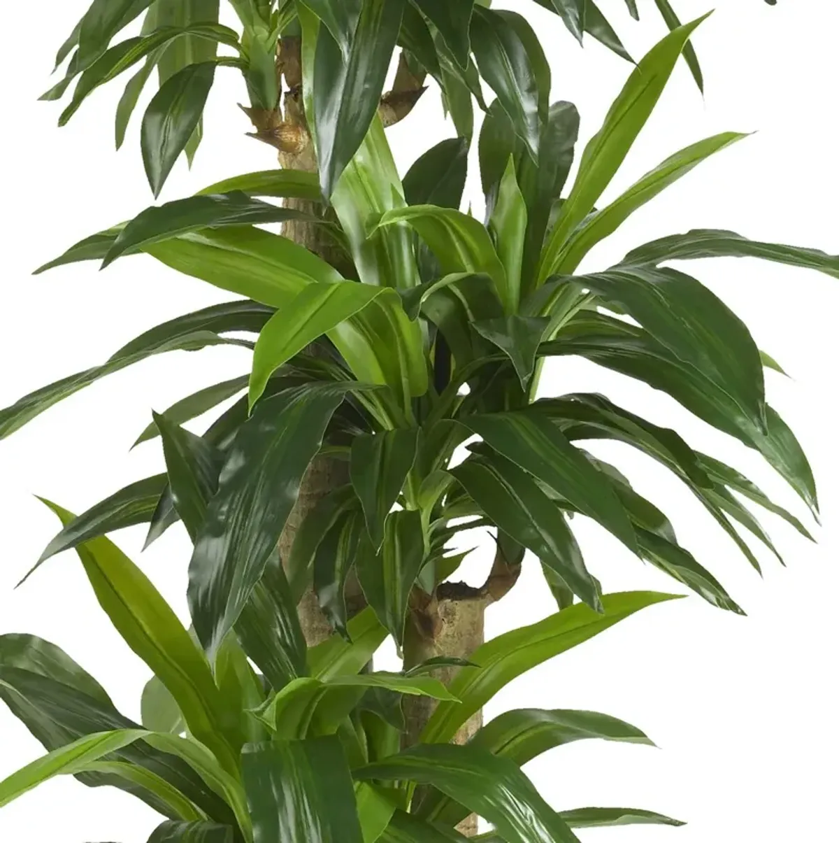 57" Faux Dracaena Tree