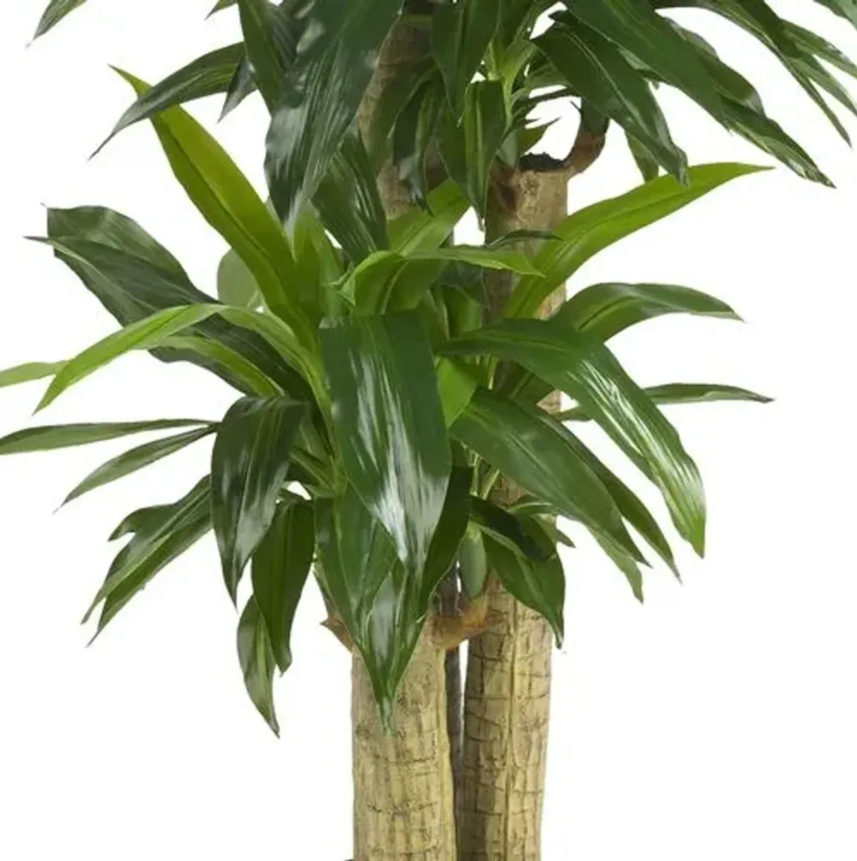 57" Faux Dracaena Tree - Green