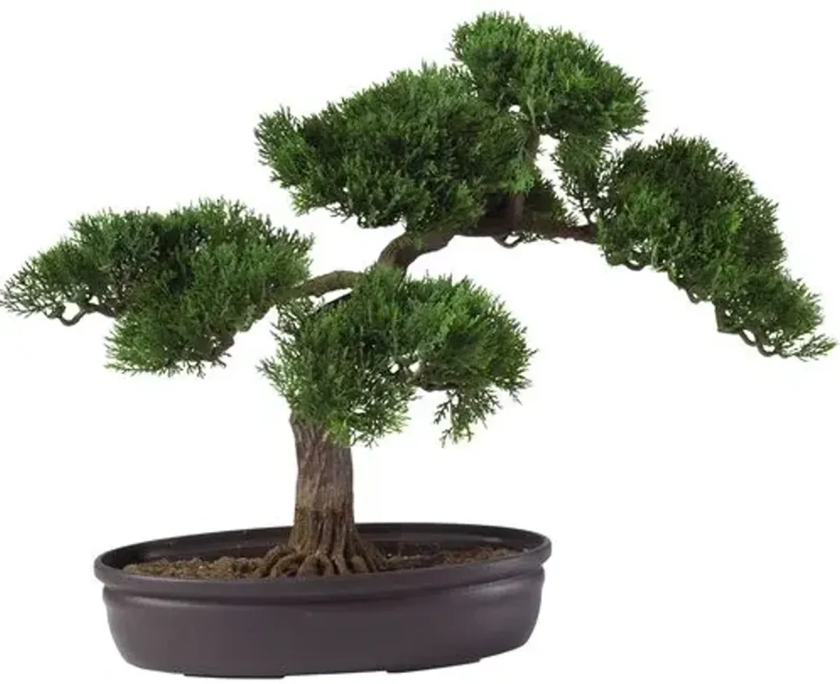 16" Cedar Bonsai Silk Plant - Green