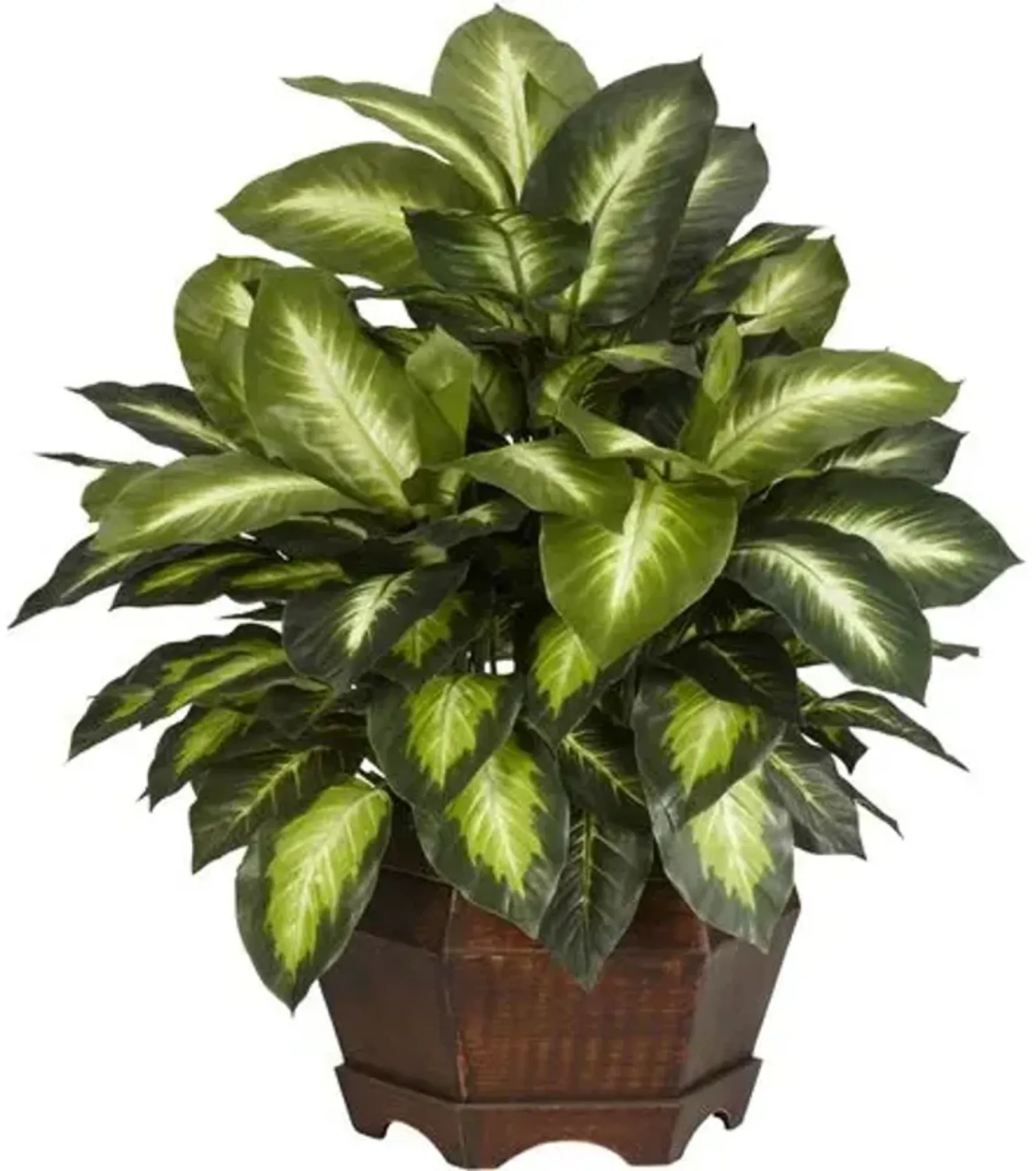 24" Faux Dieffenbachia Plant - Green