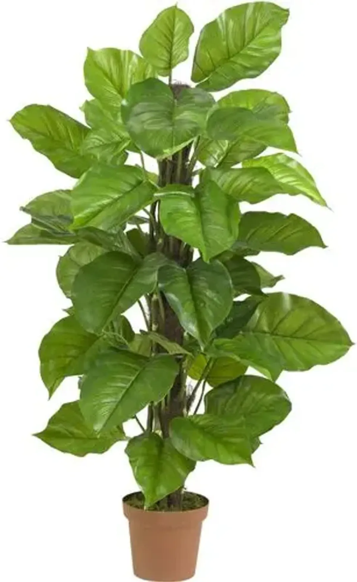 52" Faux Philodendron Plant - Green