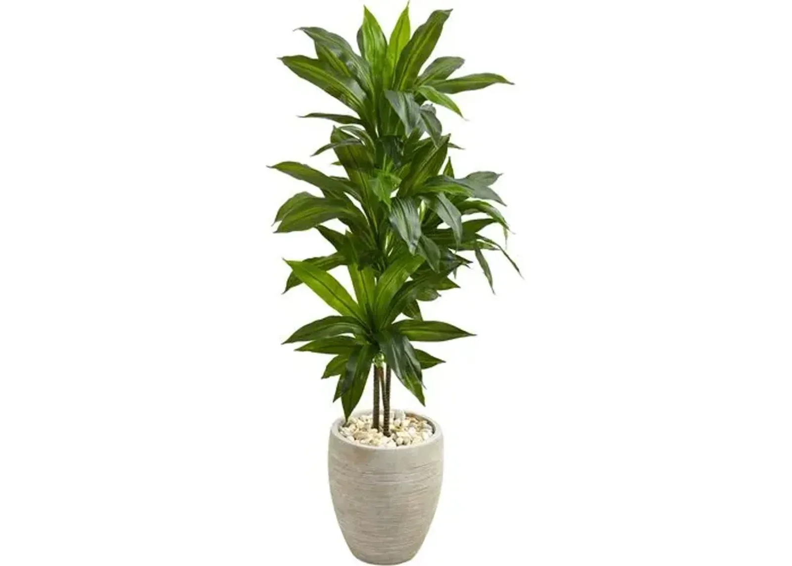 48" Faux Dracaena Plant - Green