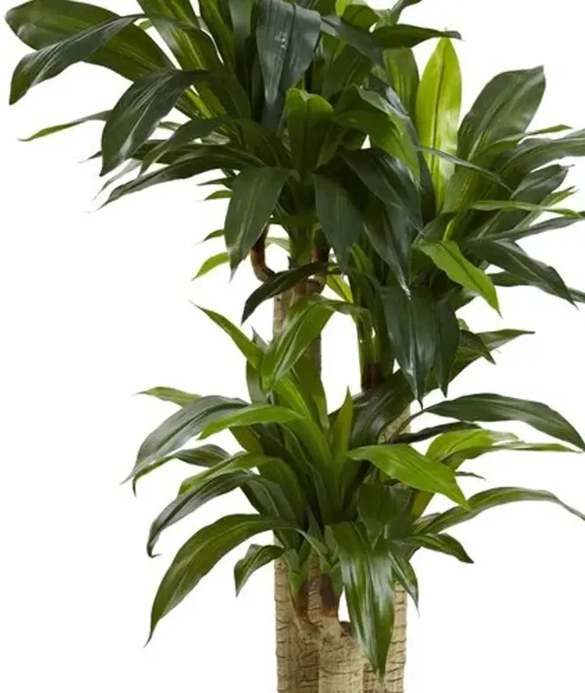 54" Faux Dracaena Plant - Green