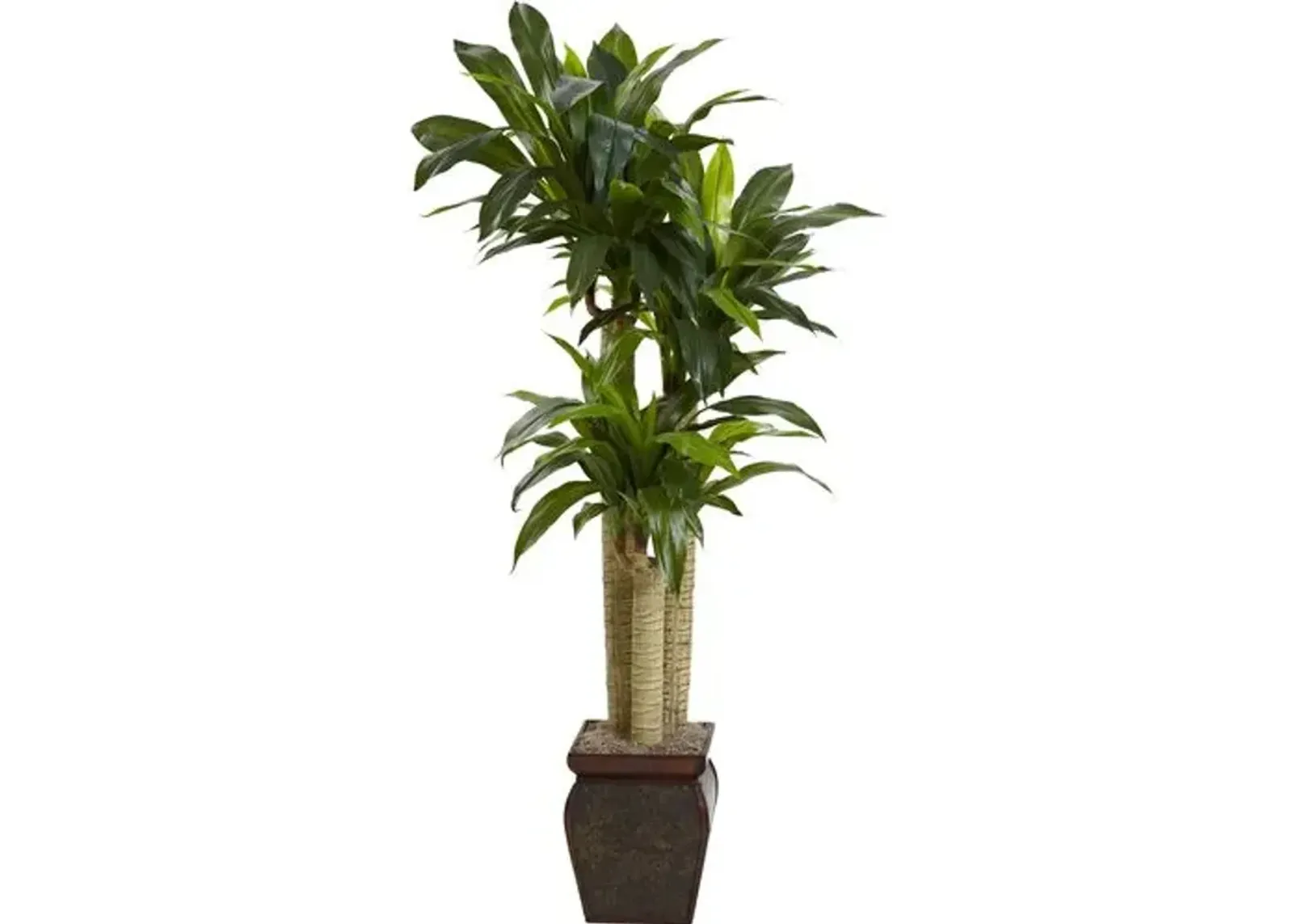 54" Faux Dracaena Plant - Green