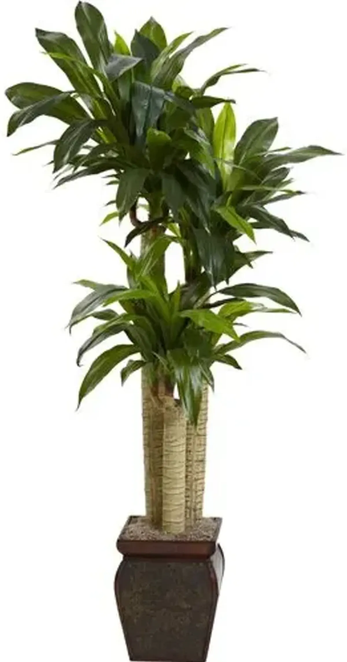 54" Faux Dracaena Plant - Green