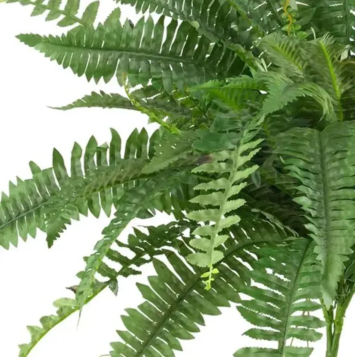 Set of 2 40" Boston Fern - Green