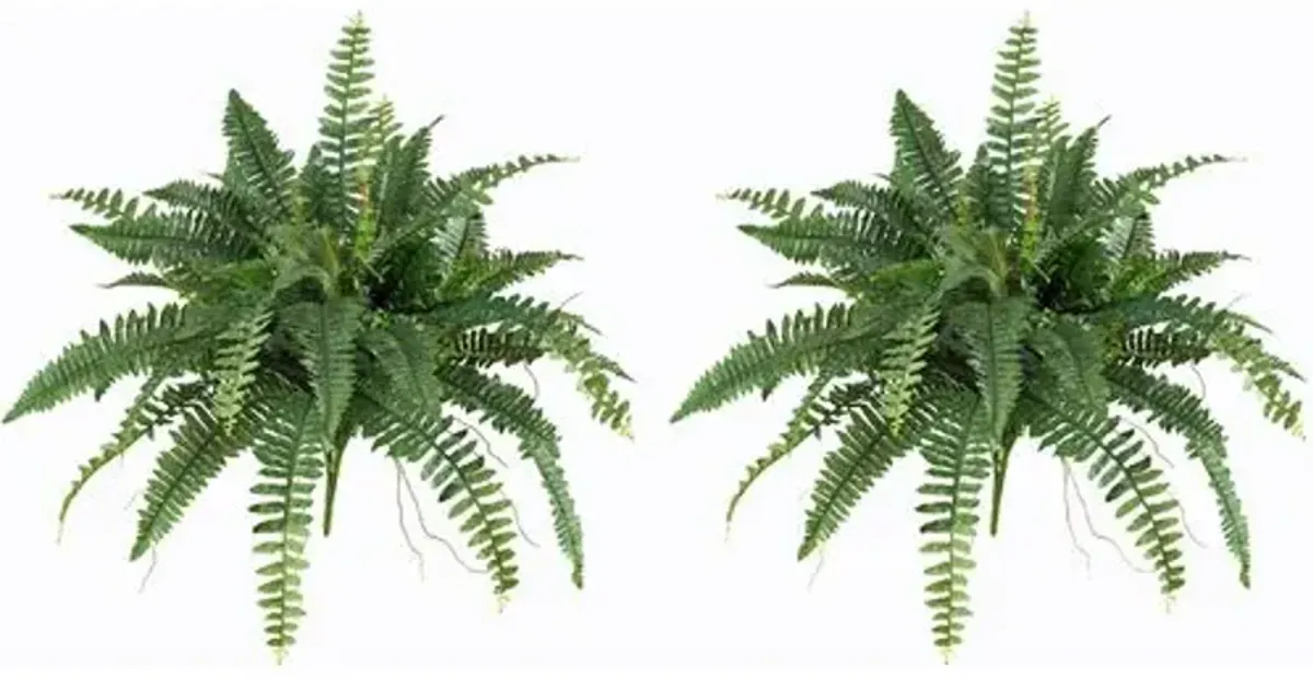 Set of 2 40" Boston Fern - Green