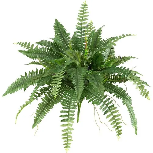 Set of 2 40" Boston Fern - Green