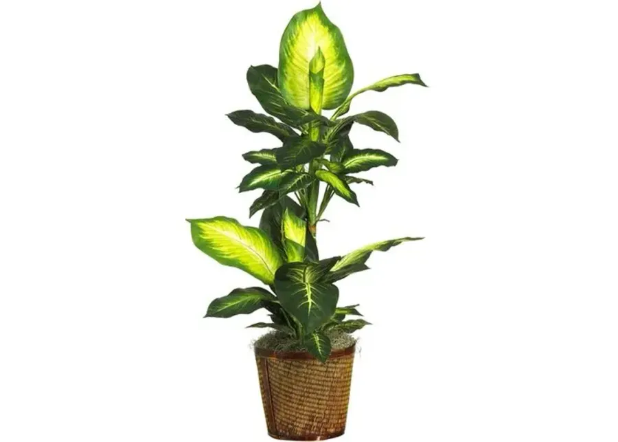 21" Faux Dieffenbachia Plant - Green