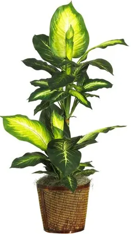 21" Faux Dieffenbachia Plant - Green