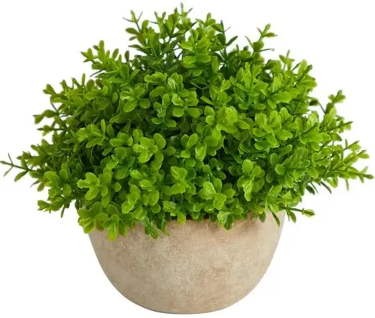 5" Faux Boxwood Plant - Green